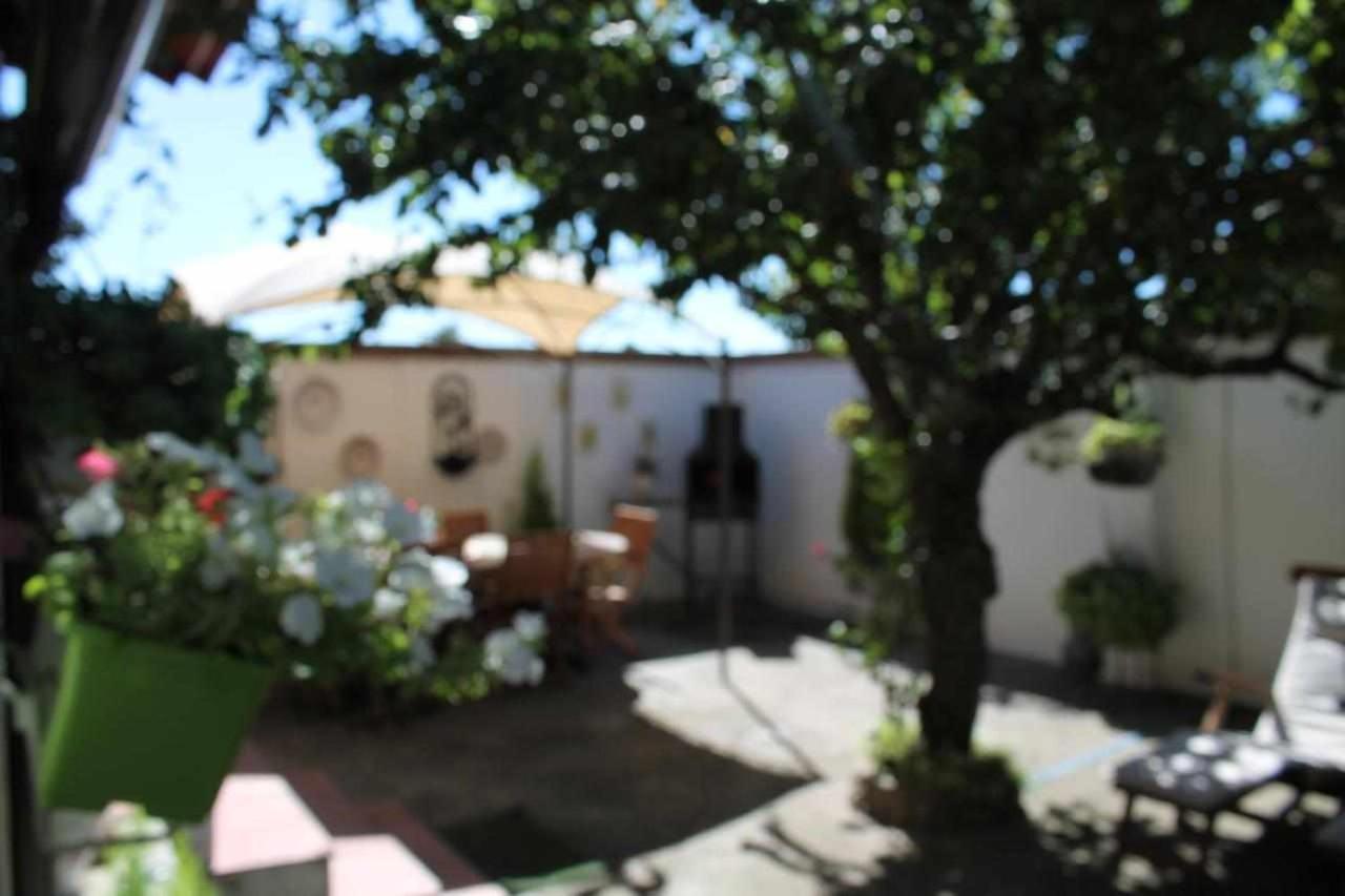 La Olmedana Villa Olmedo Exteriör bild